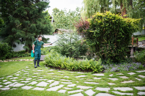 Best Spider Control Near Me  in Eugene, OR