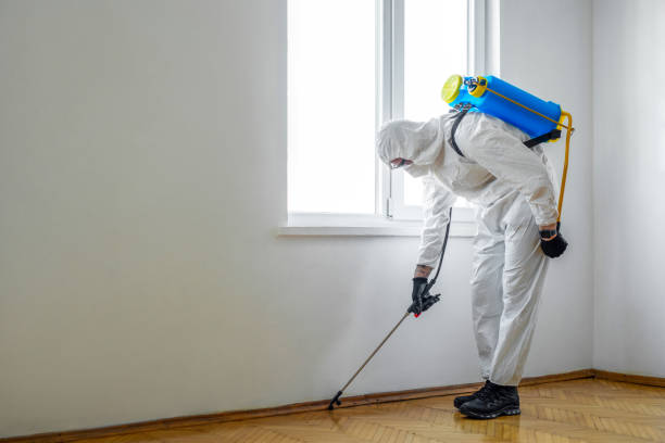 Pest Control Cost in Eugene, OR