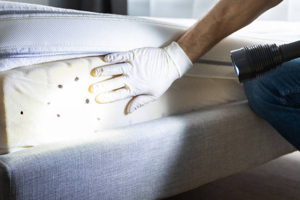 Best Affordable Pest Control Services  in Eugene, OR