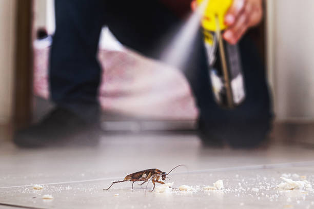  Eugene, OR Pest Control Pros