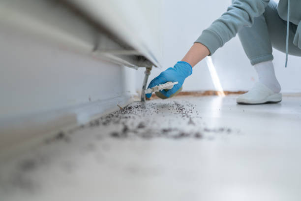 Best Pest Control Cost  in Eugene, OR